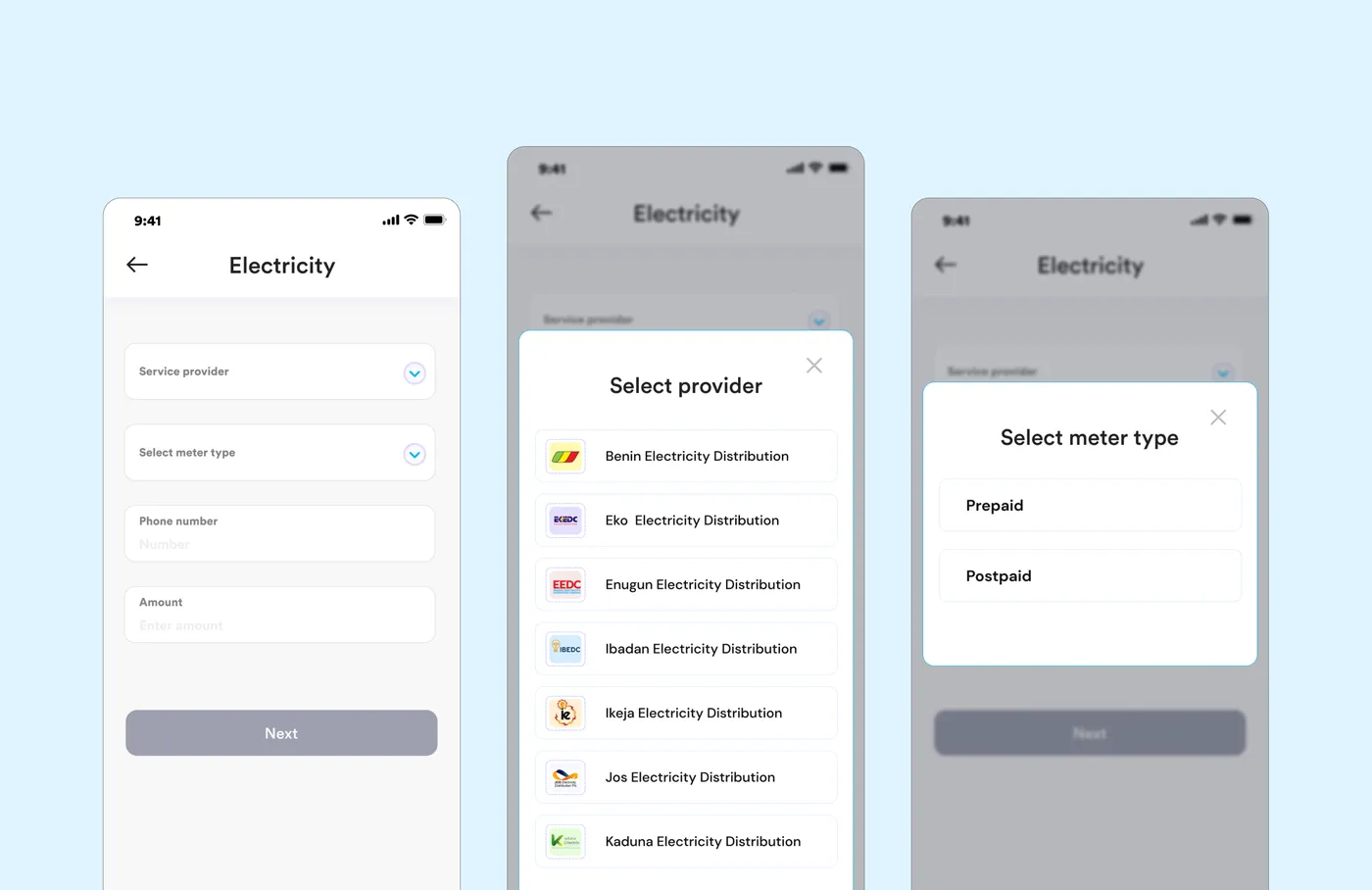 Electricity: the form, choosing a provider, and choosing a meter type