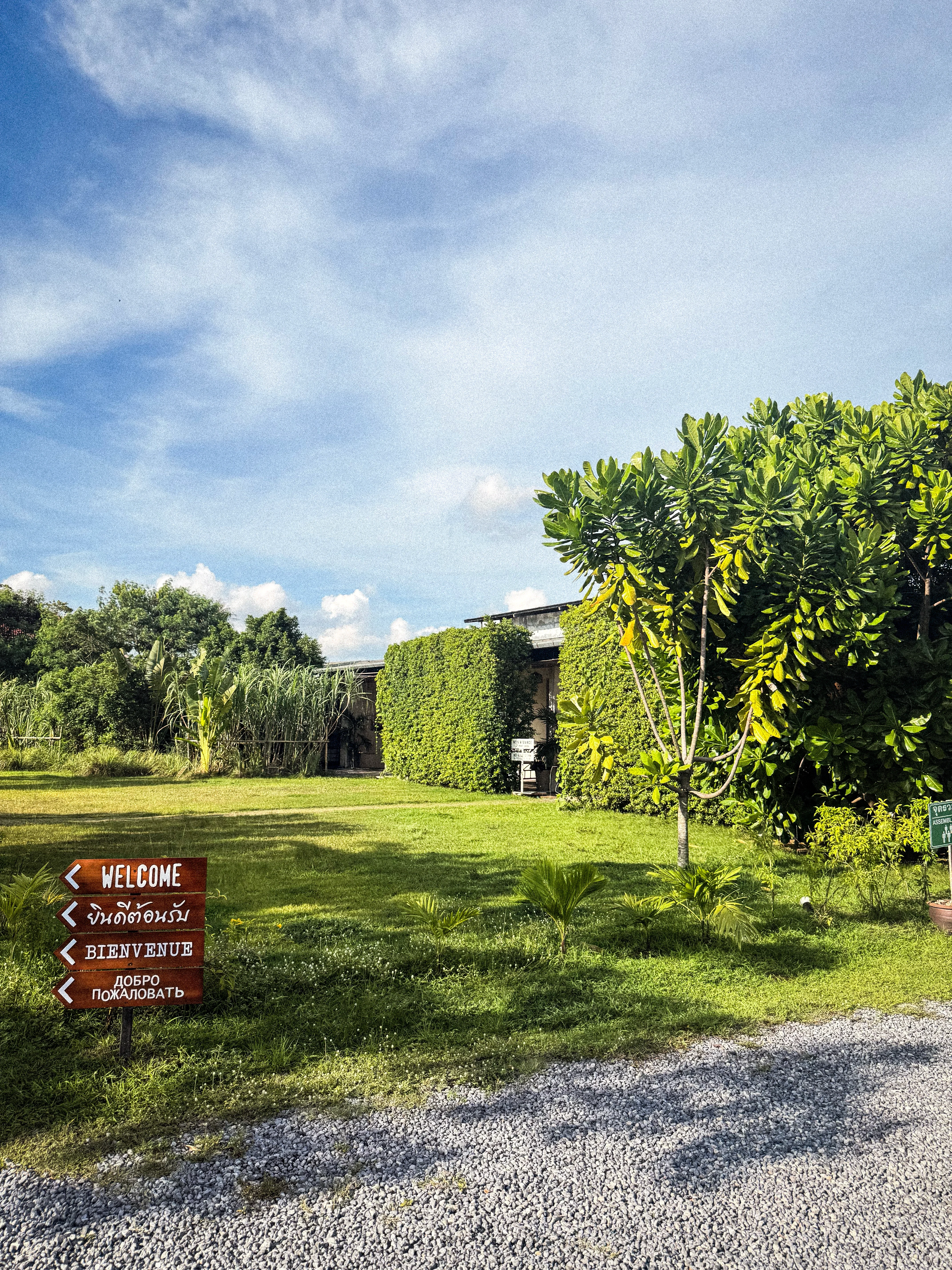 A wooden signpost reading welcome in four languages, on a lawn in front of a building covered in climbing green